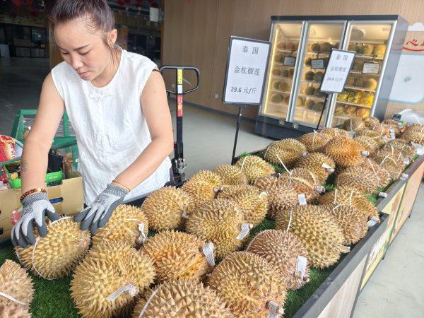柬埔寨榴莲行将大齐参预新发地,榴莲价钱还有下落空间