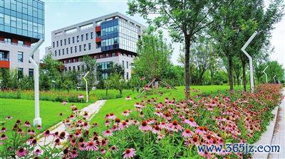 中关村环保园“拈技俩”绿化打造“高颜值”革新空间